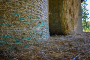 baling twine in Adelaide