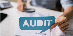 NDIS audit support