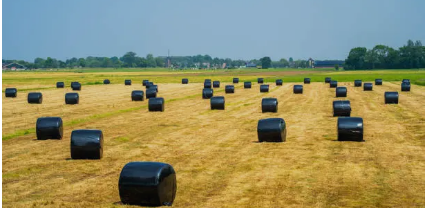 Bale Wrap in Australia’ Sustainable Silage Solutions Transforming Modern Farming