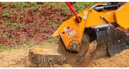 stump removal Adelaide Hills