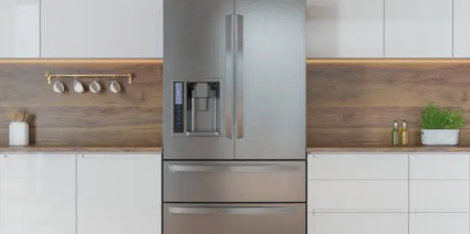 Liebherr Fridge Adelaide’ Comprehensive Review of Performance, Reliability, and Local Support