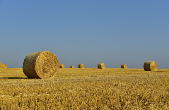 Silage Film’ Choosing the Best Option for Australian Farms