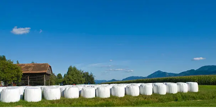 Silage Plastic Australia’ Why Dual-Layer Silage Plastic Is Transforming Feed Preservation