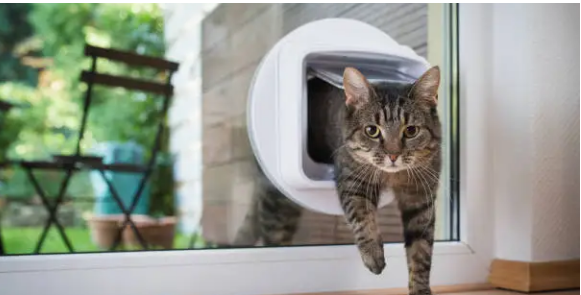 Pet Doors Adelaide’ How to Choose the Right Door for Your Home